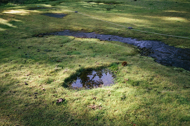 galiano