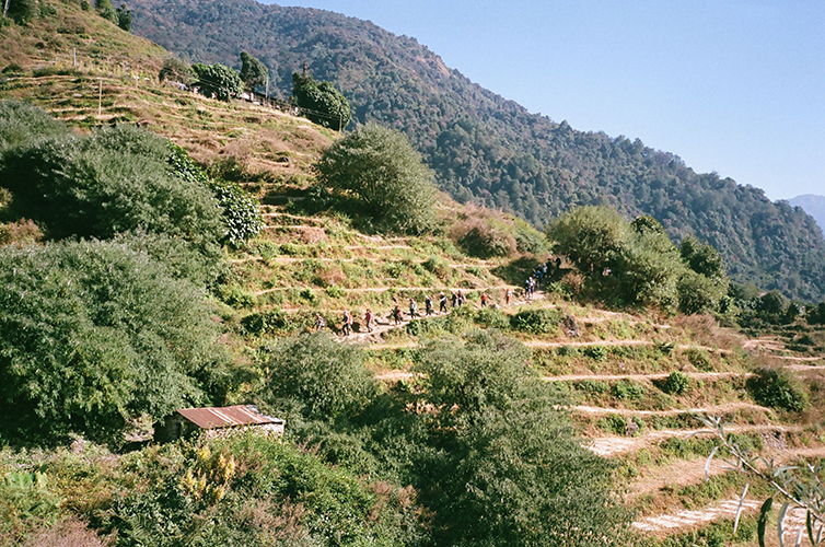 rice terrace